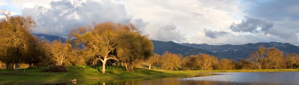 Site Image